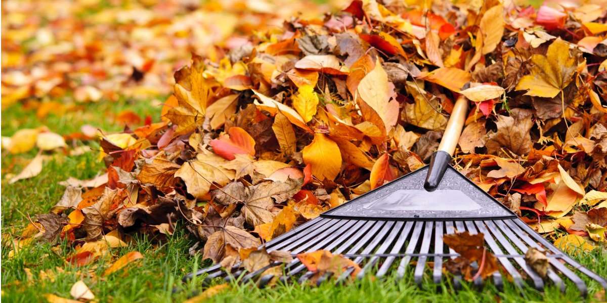 outdoor-fall-cleaning-checklist